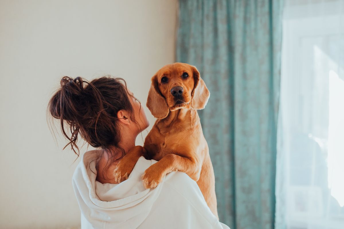 Woman with dog in house https://www.canva.com/photos/MAEdq7EDd1Y/