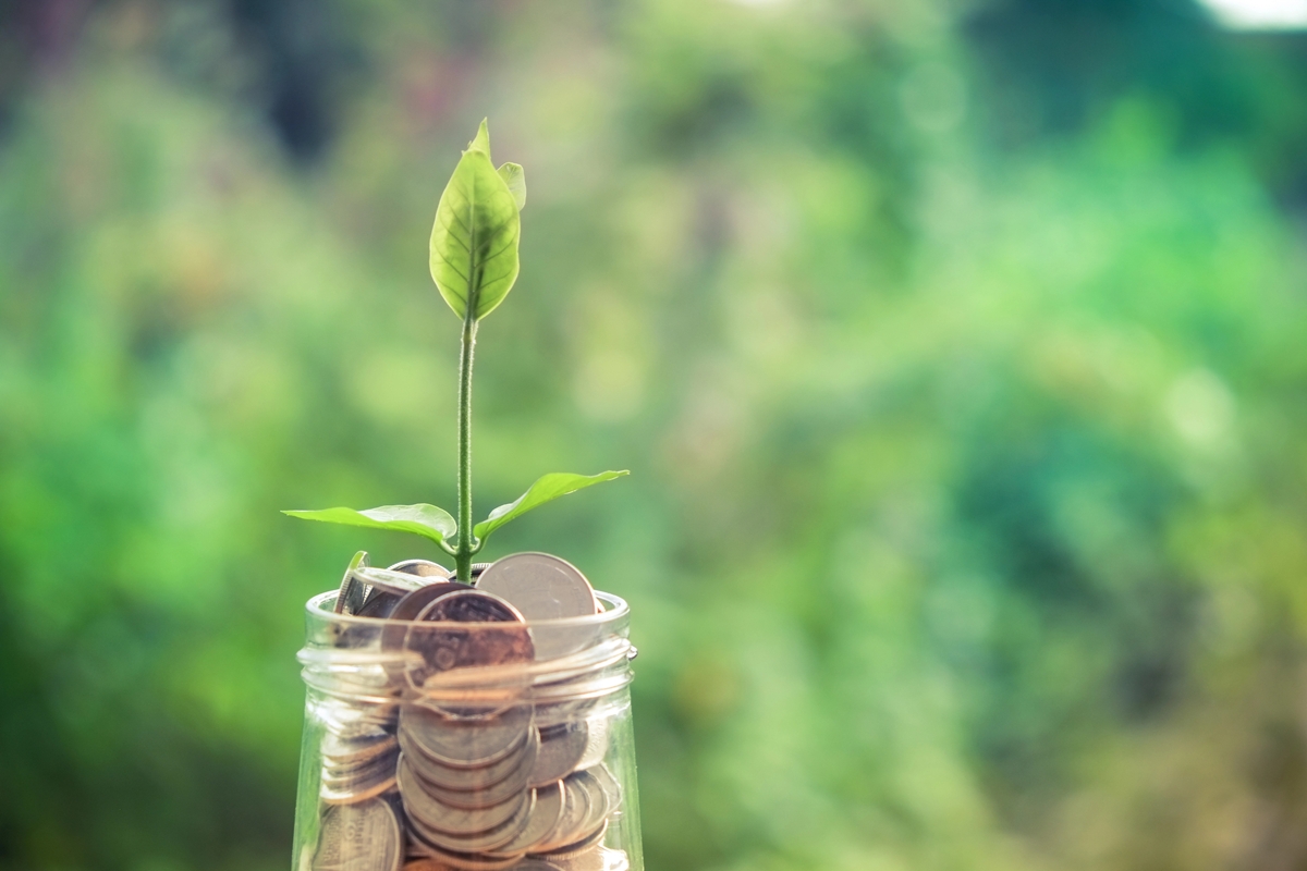 Sprout growing on glass piggy bank in saving money concept with filter effect retro vintage style Sprout growing on glass piggy bank in saving money concept with filter effect retro vintage style